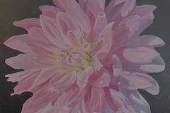 Angela Gasser,  Pink Dahlia, oil 