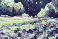 Jennifer Newer, Across the Field