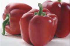 Elaine Williams, Red Peppers Study